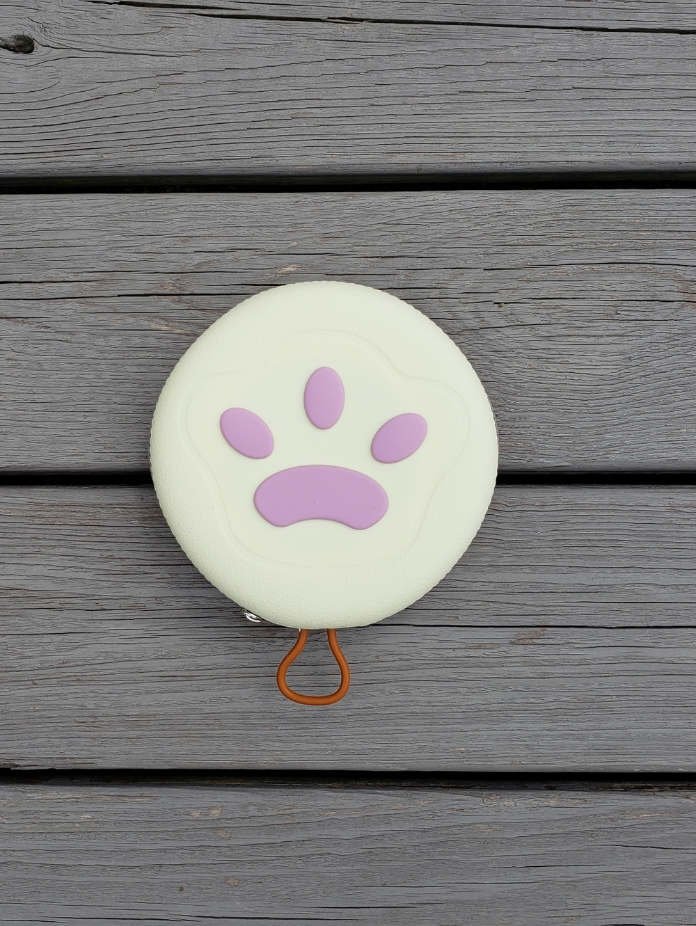 Pet Silicone Feeding Bowl With Storage Case
